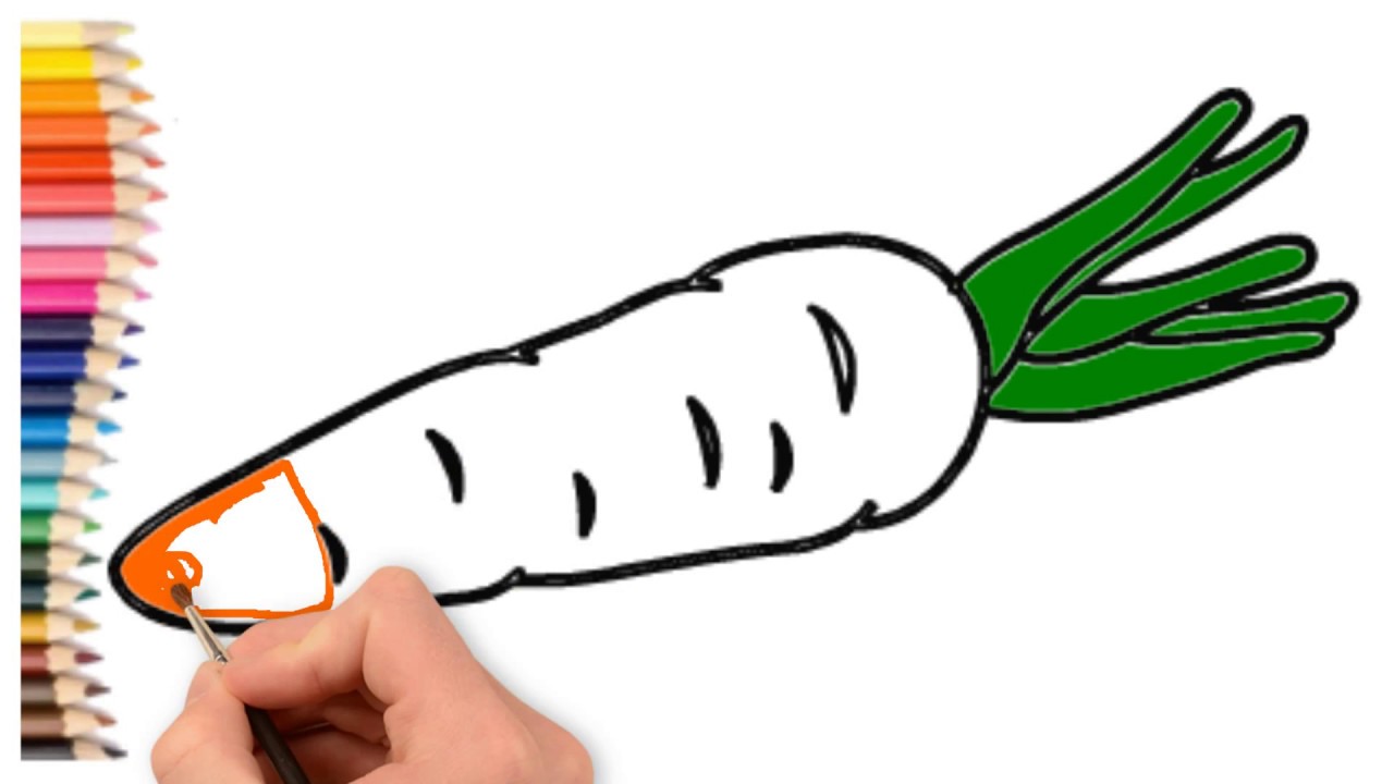 How to Draw a Carrot Plant | Vegetable Drawing | Coloring and Drawing ...