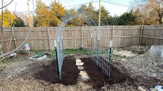 Setting Up A Cattle Panel Trellis