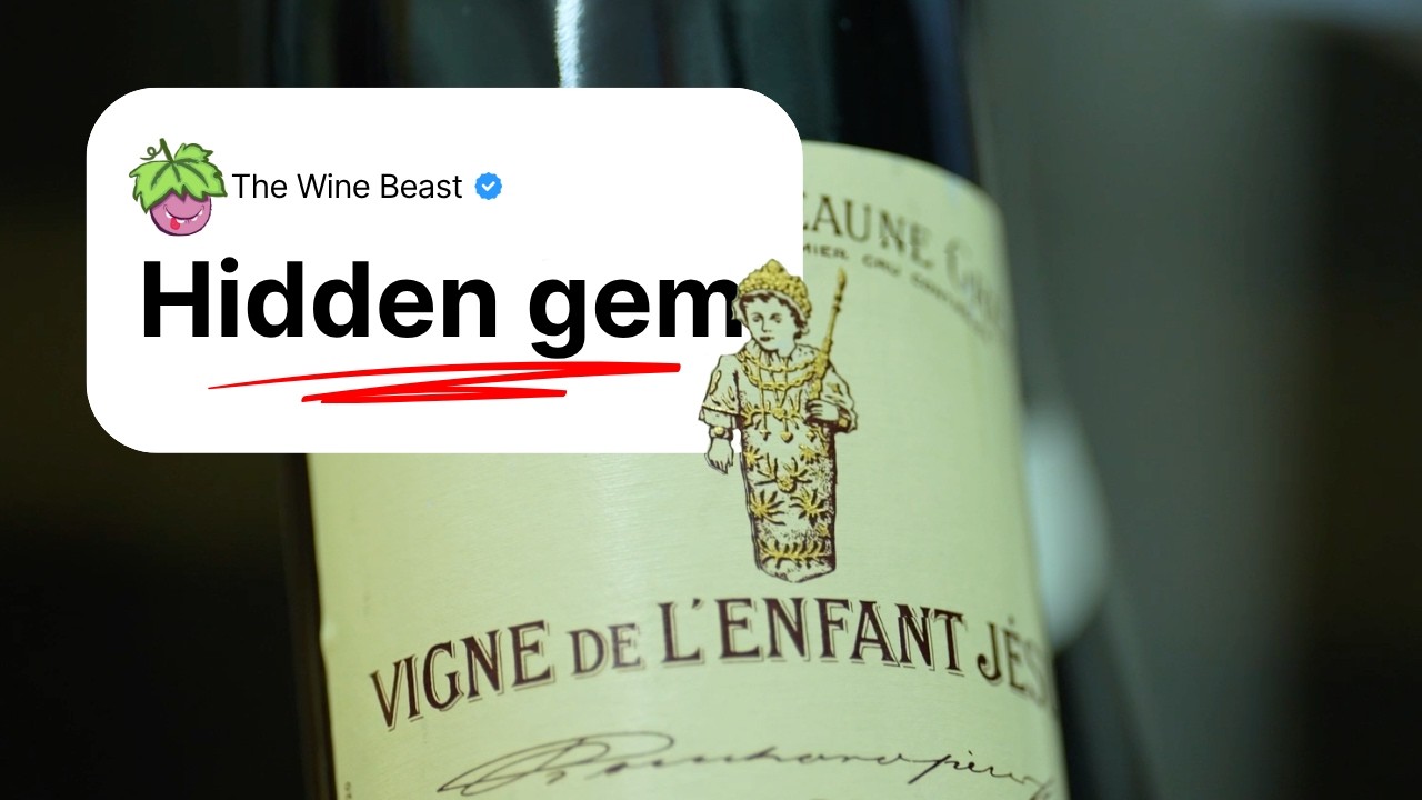 Bouchard Vigne de l'Enfant Jésus Explained — The Best Beaune 1er