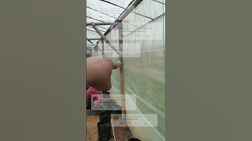 Thumbnail of Spesifikasi Greenhouse Bambu Sederhana