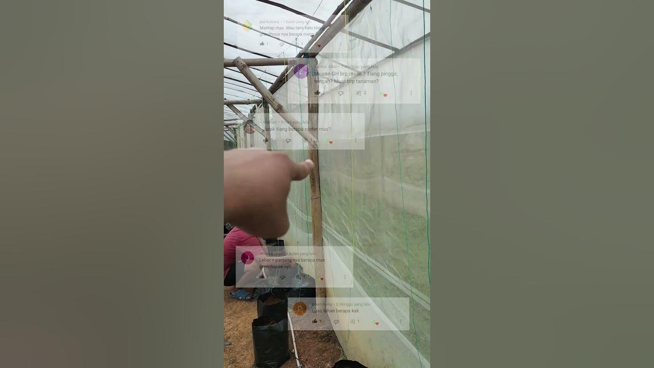 Spesifikasi Greenhouse Bambu Sederhana