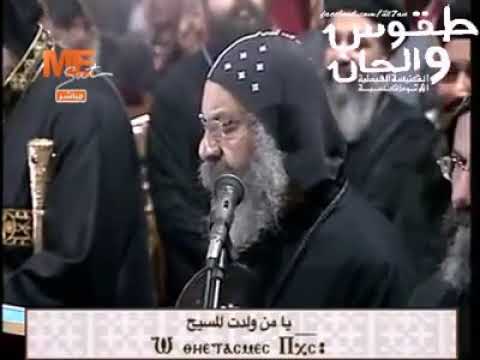 السلام لكى يا مريم الحمامة الحسنة