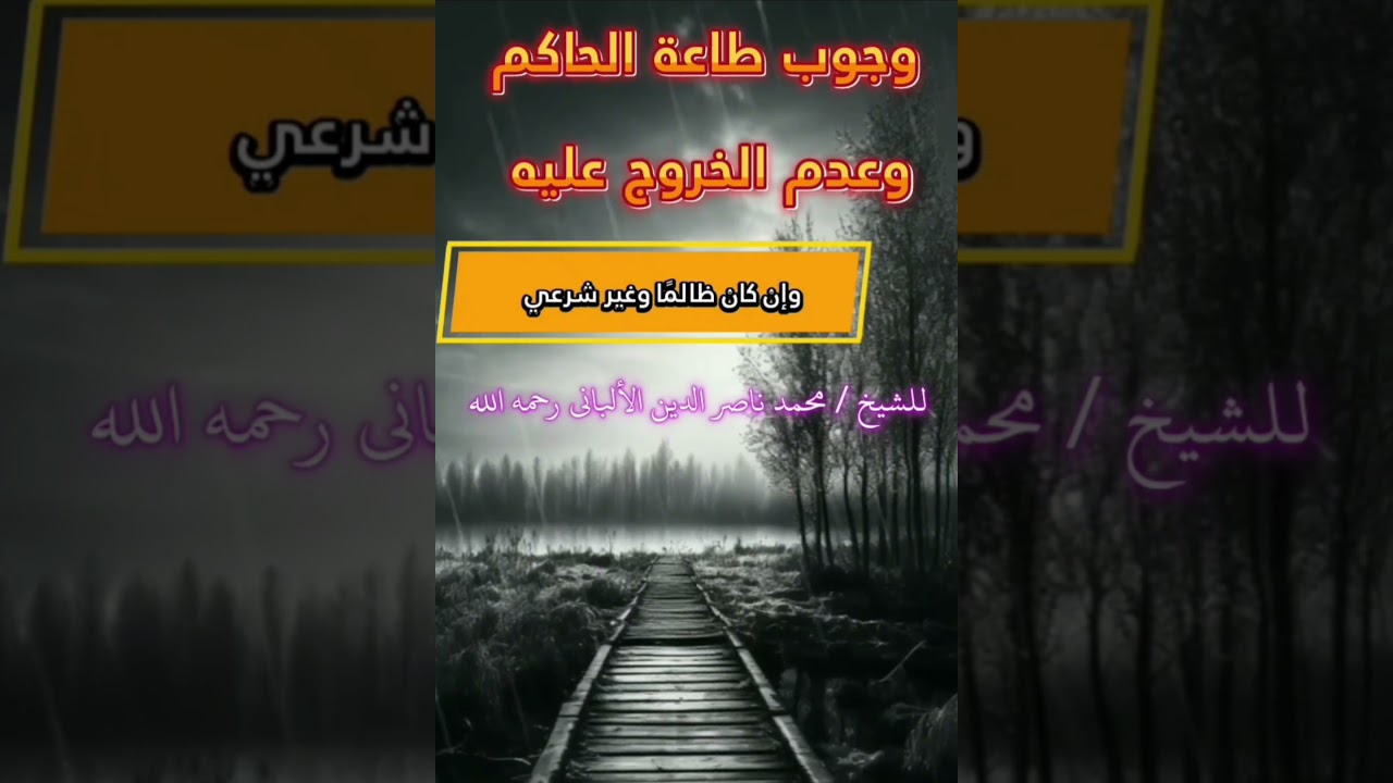 عندما يقول الألباني طاعة الحاكم واجبة ولا يجوز الخروج عليه وإن كان غير شرعي فاعلم أن الخوارج يتألمون