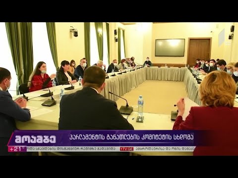 პარლამენტის განათლების კომიტეტის სხდომა