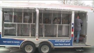 700 dogs found 'in horrific conditions', Humane Society says