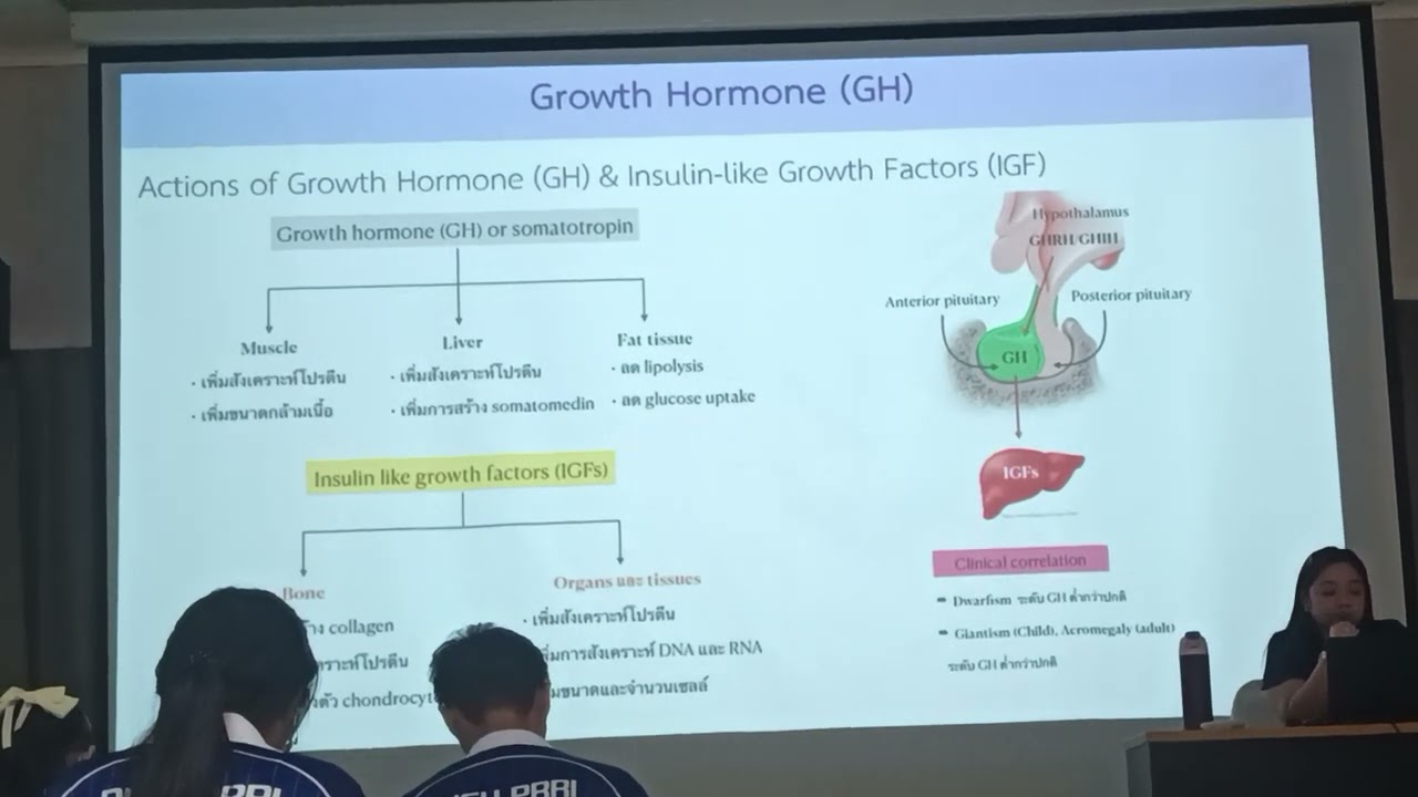 ระบบต่อไรท่อ 3