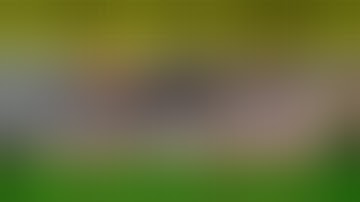 Cô Gái 27 Tuổi Trong Cốp Xe 5 Ngày Ở Hóc Môn:  Đằng Sau Cái Chết Không Hung Khí | Vấn Đề Hàng Ngày