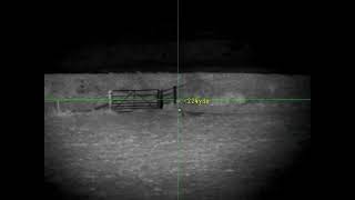 Fox Shooting Uk Pard Ds3570Lrf 243 Tikka T3X