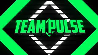 Team Pulse Intro