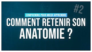 COMMENT RETENIR SON ANATOMIE ? #2 (Comprendre pour mieux apprendre)