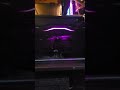 RX7900XTX Color Cycle Apply
