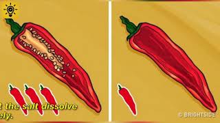 15 Cooking Tricks Passed Down From the Most Prominent Chefs