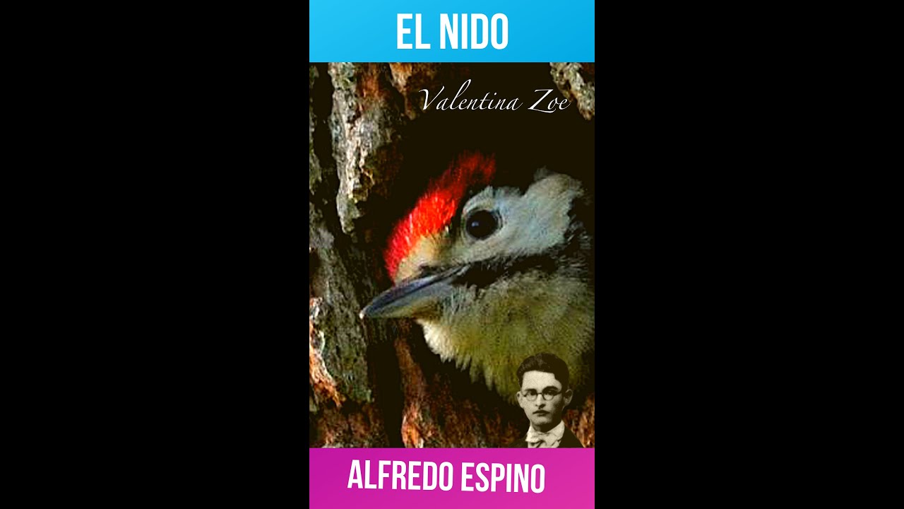 Analisis Del Poema El Nido De Alfredo Espino Jicaras Tristes