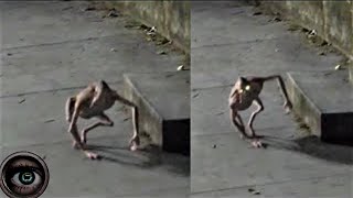 7 REAL Paranormal Videos Submitted By My Audience - YouTube