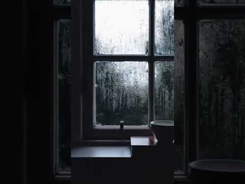 Nəzakət Məmmədova | Gəl inad etmə böylə | Qızıl Fond | Azərbaycan musiqisi | #qısavideolar