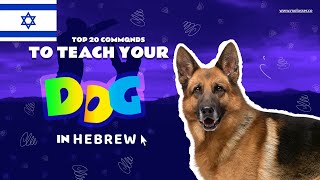 Teach Your Dog Commands In Hebrew (20 Common Words) Teach Your Dog Commands In German V2 Corrected Version 20 Common Words