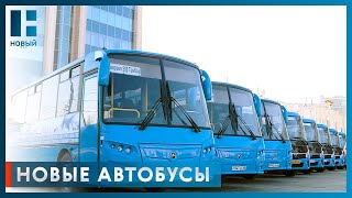 Максим Егоров передал 11 новых автобусов в муниципальные округа Тамбовской области