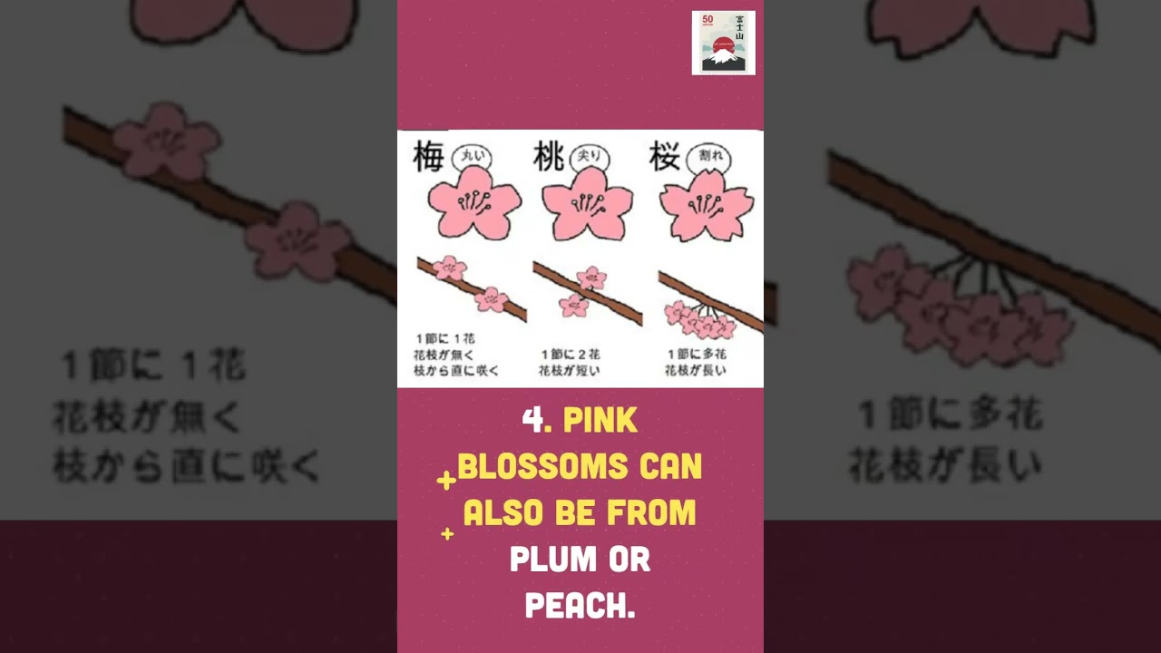 6 Little Known Facts About Cherry Blossom