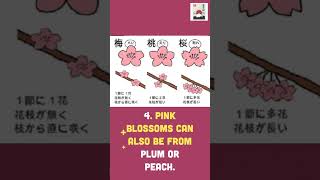 6 Little Known Facts About Cherry Blossom