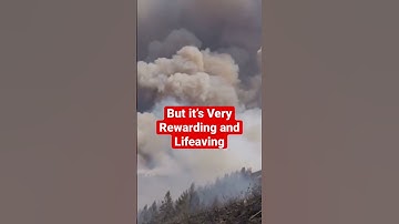 Forest Firefighters Save the Day! @JobJams #shorts #short #kidssong #kidsvideo #kids #firefighter