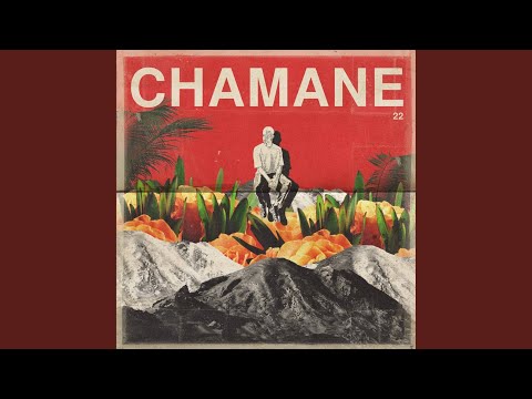 차선생님 Mr. Cha  (Feat. OLNL)