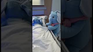 #sad #death #shorts #depression #ifyoudontlikeikillmyself#elephant #mom #arrestmedaddy#dance #flip