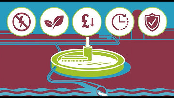 Microbes in Wastewater Treatment