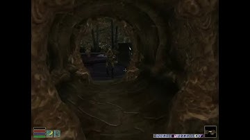 Day 105 - Killing Every NPC Until Elder Scrolls 6 is Released