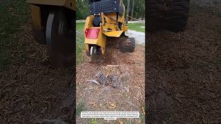 Skid Steer Stump Removal