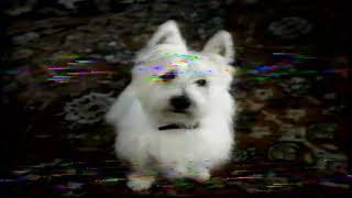 Cesar dog food - tv commercial - 2005