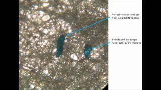 Techniques for Isolating Microplastic from Coastal Estuaries