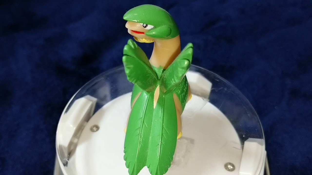 ポケモンキッズ トロピウス Youtube