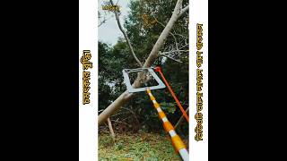 Amazing trick for hanging ropes from trees.#information #viralvideo
