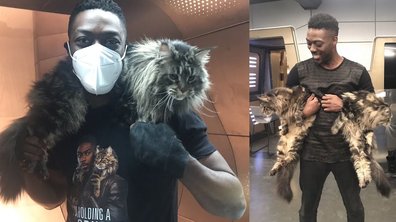 Book and Michael's Endless Stories of Unseen Adventures - Star Trek Discovery