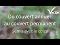 Ref:89wcqCbfzis Du couvert annuel au couvert permanent, semis avec le colza - fermes pilotes val'epi