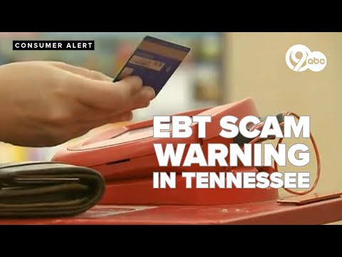 SNAP decisions EBT phone hacks leave wallets empty Tennessee families hungry