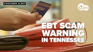 SNAP decisions: EBT phone hacks leave wallets empty, Tennessee families hungry