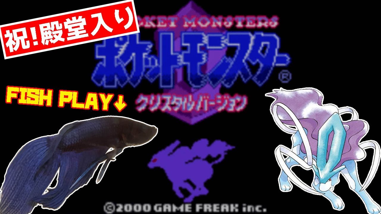 祝 殿堂入り 番外編 アクア号 2471h ペットの魚がポケモンクリア Fish Play Pokemon 作業用bgm Youtube