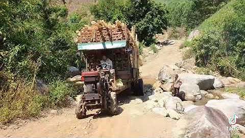 xe công nông 2 cầu chở keo Leo dốc cực khỏe รถเกษตร 2 สะพาน แบกต้นกระถิน