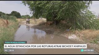 LEGANÉS | MALESTAR VECINAL POR FUGAS DE AGUA EN CERRO DEL CASTAÑAR
