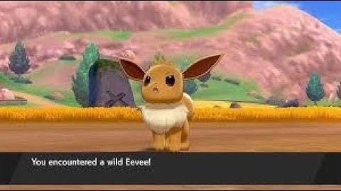 Catching Eevee in Pokémon Sword & Shield