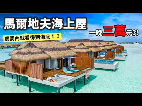 出國解禁！ 老婆帶我去馬爾地夫！ 水上屋開箱 海島型度假 一島一飯店 吃到飽 無限暢飲 Pullman Ocean Villa Maldives || 好放HaveFun