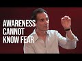Awareness Cannot Know Fear