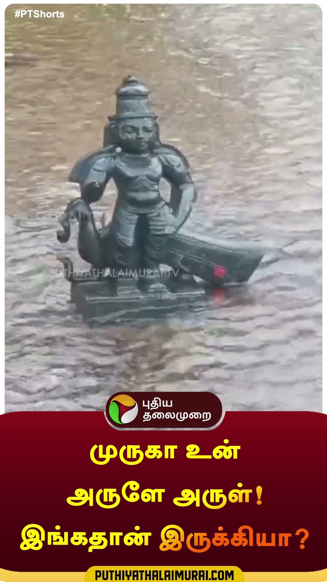 முருகா உன் அருளே அருள்! இங்கதான் இருக்கியா? | #shorts | #cheyyar | #thiruvanamalai | #murugan