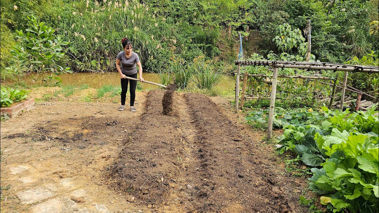 A day tilling the soil to make furrows for planting vegetables - Life on the farm alone