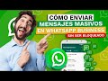 Prime Connect - Mensaje en masivo de whatsapp