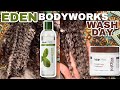 EDEN BODYWORKS WASH DAY #BLACKOWNED | PREPPING MY NATURAL HAIR FOR MINI TWISTS | Curly Tells
