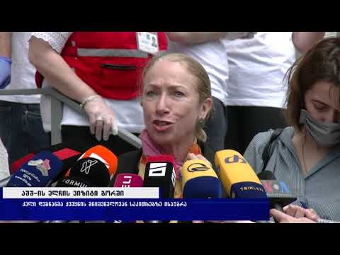 აშშ-ის ელჩის ვიზიტი გორში