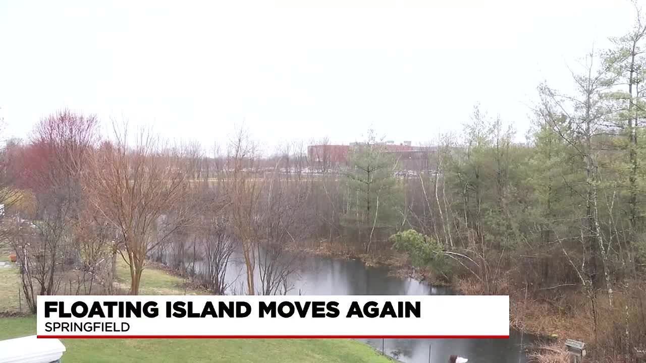 Island Pond in Springfield on the move again