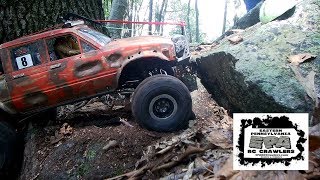 Money Rocks Scale Comp (3) - 2019/8/18